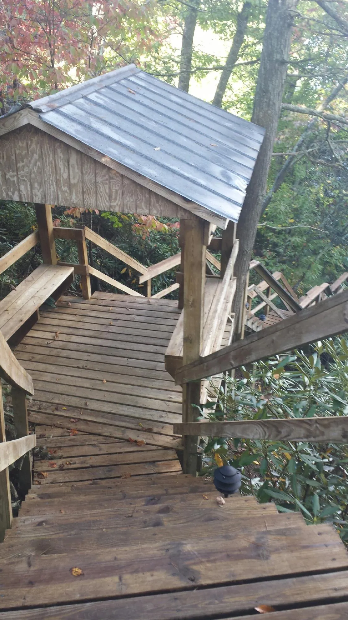 Metal roofed shelter over wooden steps on a wooded walkway — Skylight Repair & Installation work by our crew in Venetia